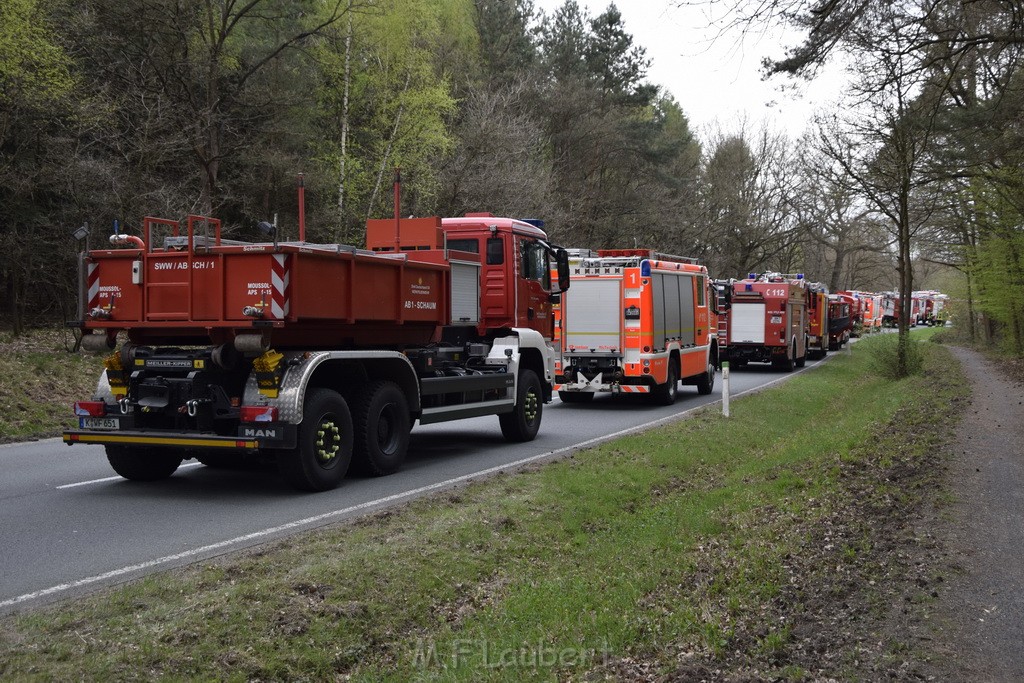 Waldbrand Wahner Heide Troisdorf Eisenweg P296.JPG - Miklos Laubert